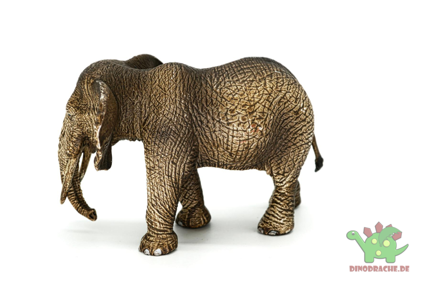 Schleich Afrika Bundle